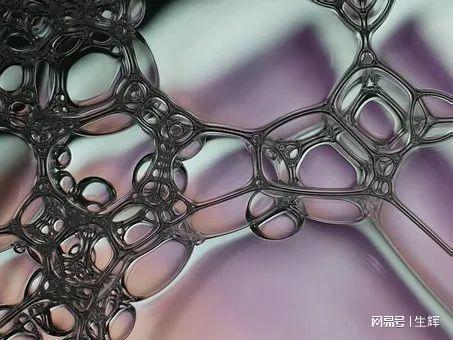 向植物和微生物「索取」清洁力 世界首座商业化鼠李糖脂工厂即将落地